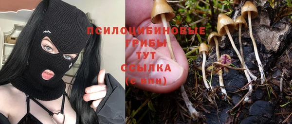 ALPHA PVP Аркадак