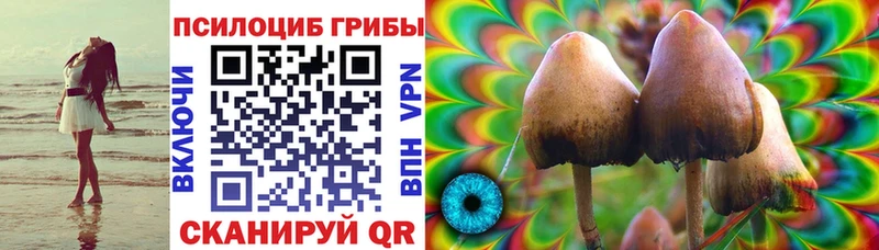 omg маркетплейс  купить наркоту  Мытищи  Псилоцибиновые грибы ЛСД 